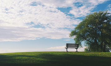 Image by Noah Silliman