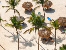 Aerial view of Aruba's white sandy beach, dotted with palm trees and the thatched roofs of small palapas shading sun loungers below.