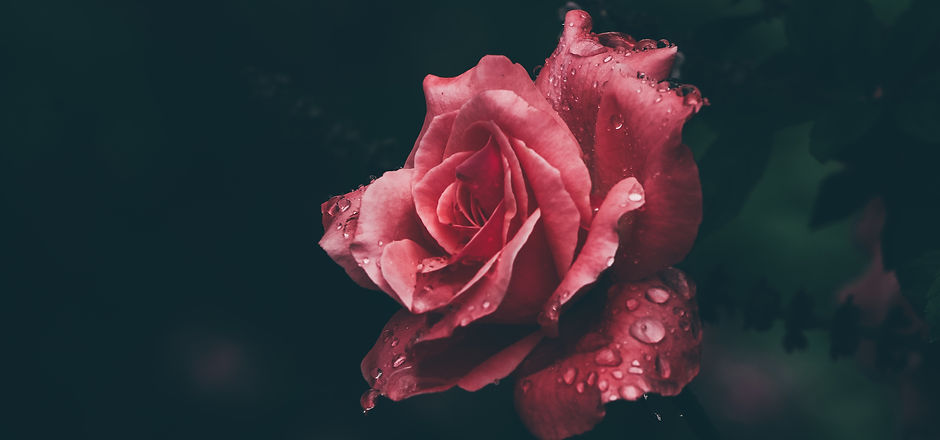 Image by abhishek gaurav