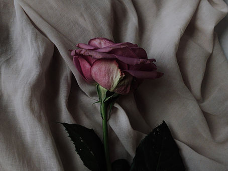 My Favorite Romance Micro-tropes