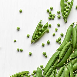 Bulk IQF frozen green peas exporter from India for UAE and Saudi Arabia food processing units