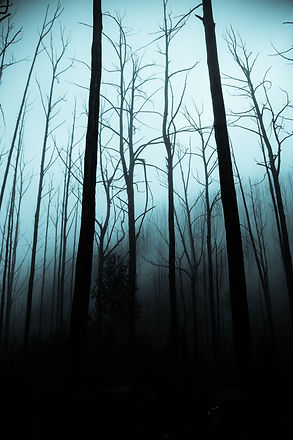 Image by Jack Cain
