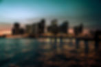 Image by Jose Garcia