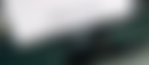 Tips for Agents and Brokers from Adjusters