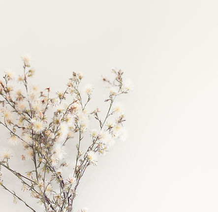 Image by Cristina Graf Adamoli