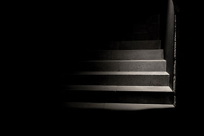 Image by Carolina Pimenta
