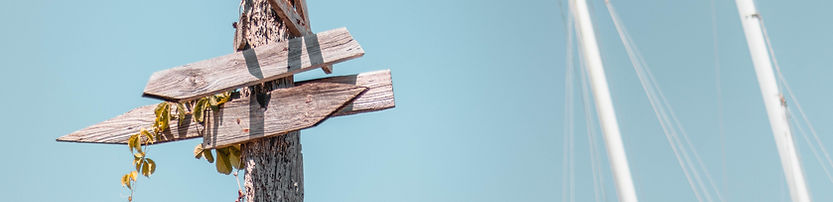 Image by Sara Kurfeß