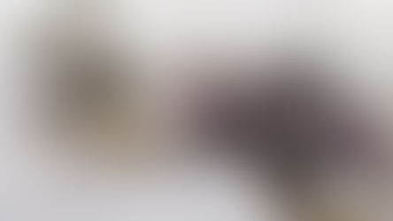 A Kiss from Rose| God Never Fails