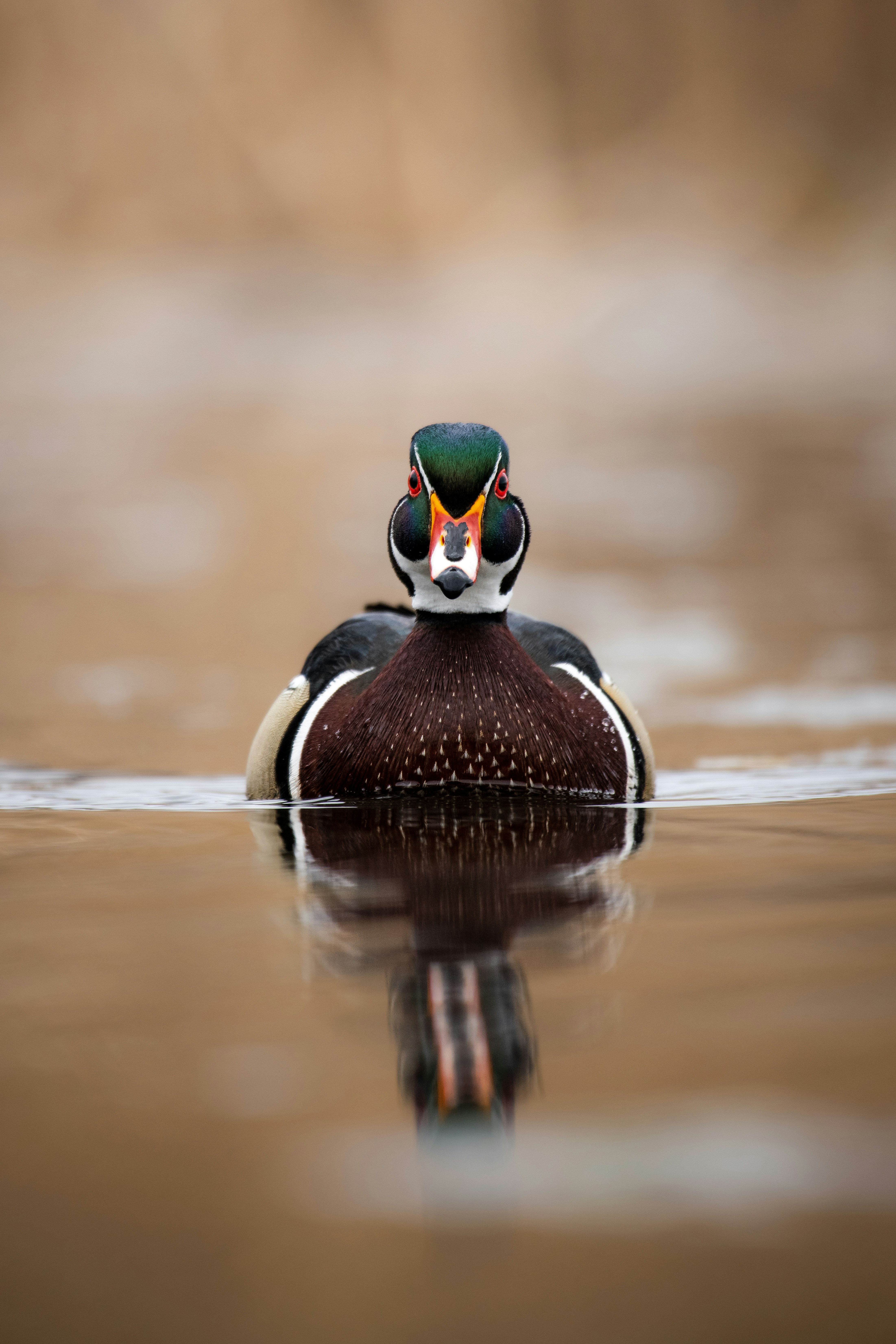 Image by Jeremy Hynes