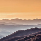 Image by Ronnie Mayo