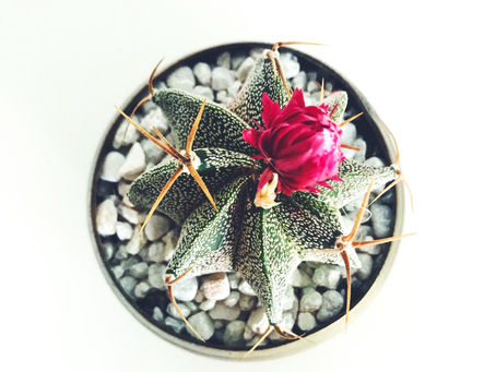 Are You Connected To The Field of Intention?