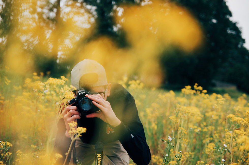 Image by alex bracken