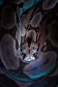 Image by Jan Kopřiva