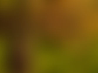 The Economic Perspective - 02.05.2021