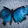 Writer: Atara Vogelstein, LCAT & Founder @TherapyWalks