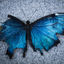 Writer: Atara Vogelstein, LCAT & Founder @TherapyWalks