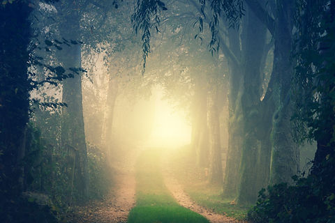 Image by Johannes Plenio