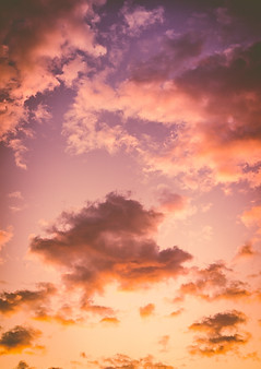 Image by Dewang Gupta