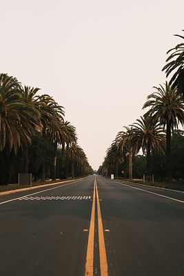 Image by Daniel Newman