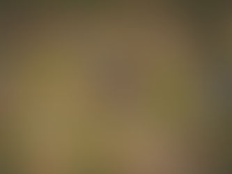 Parcelaciones en Cádiz (Puerto Real, Chiclana, El Puerto de Santa María, San Fernando): Aspectos Legales y Procedimientos