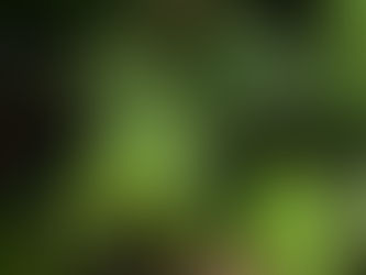 How do you react when your child finally tries and likes a new food?