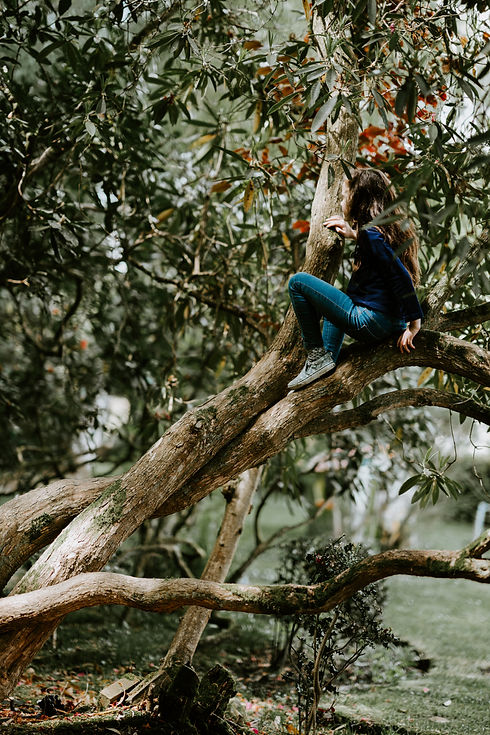 Image by Annie Spratt