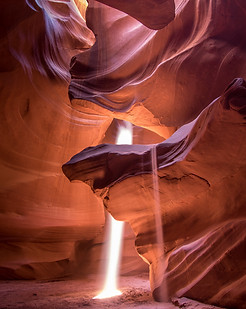 Image by Madhu Shesharam