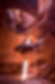 Antelope Canyon Tours
