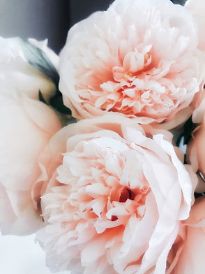 Image by Coco Tafoya