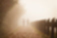 Image by Greg Rosenke