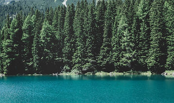Image by Paul Pastourmatzis