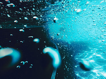 Image by Matthew Sichkaruk