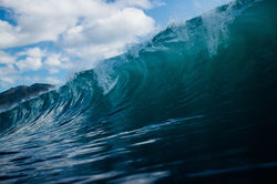 O-cean