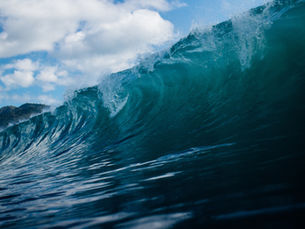 Chaos to Calm - 14 Project Management Concepts Every Entrepreneur Needs