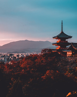 Image by Su San Lee