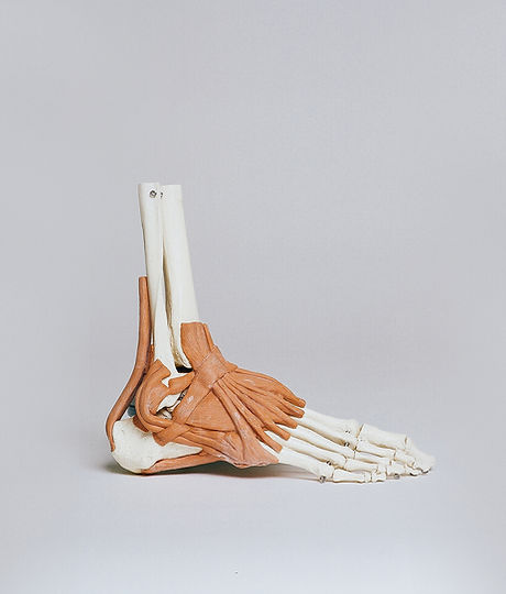 Image by Nino Liverani