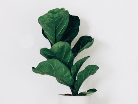 Dystopia Chapter 44: Exit, Stage Right...