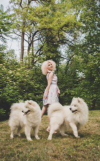 Image by Valerie Elash
