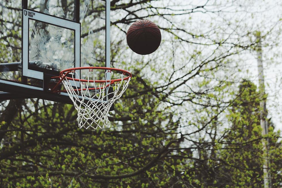 Image by Noah Silliman