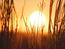 1 Thessalonians Series: Living in Light of the Day of the Lord (1 Thess 5:1-11)