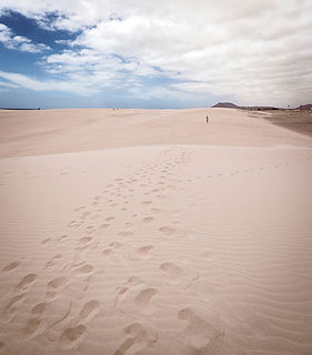 Image by Jeton Bajrami