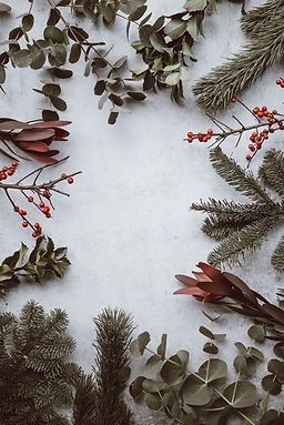 Image by Annie Spratt