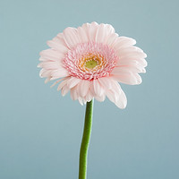 Image de Andrew Small