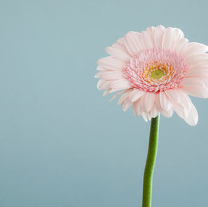 How to Build Psychological Safety Without Getting in Your Own Way