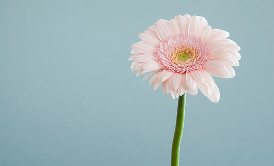 Image by Andrew Small