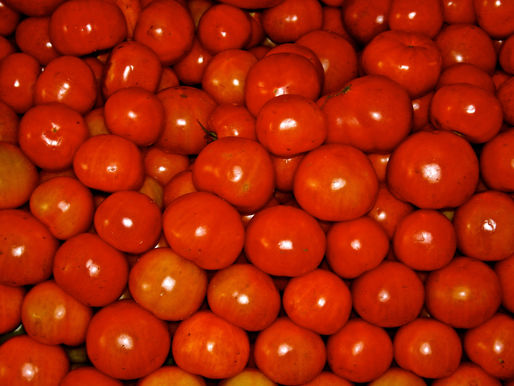 There is Candy in Tomatoes