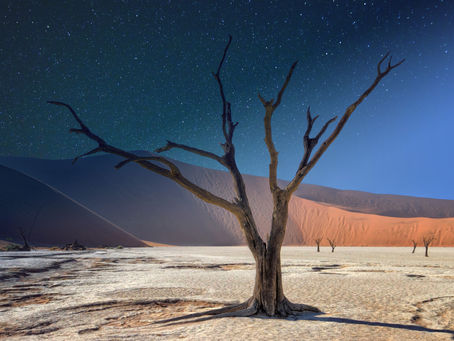 When is the Best Time to Visit Namibia? A Month-by-Month Guide for Your Perfect Adventure