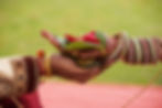 Image by AMISH THAKKAR