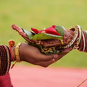 Image by AMISH THAKKAR
