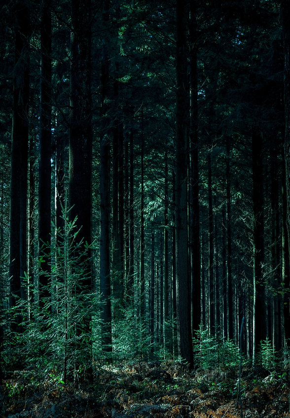 Image by Sleep Music